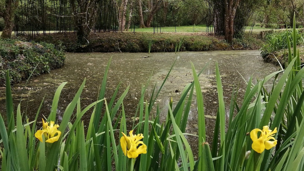 Photo of Outdoor in Savigne-sous-le-Lude