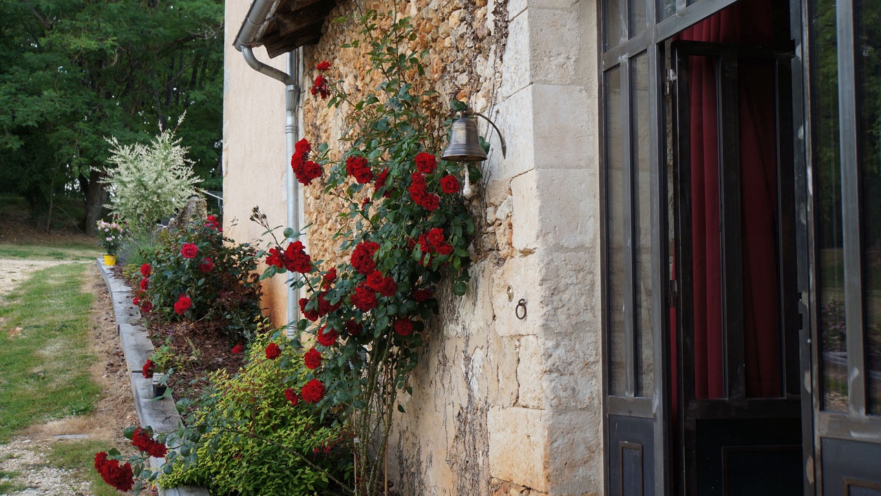 Photo of Outdoor in Manzac-sur-Vern