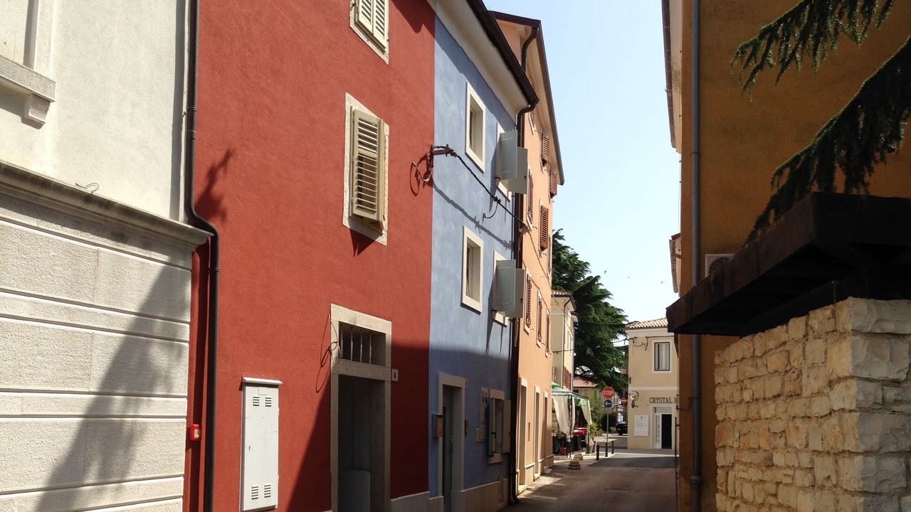 Photo of Others in Novigrad