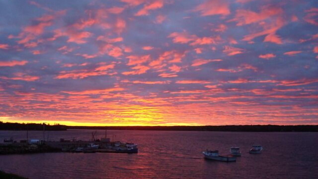 Photo of Others in Lower Montague