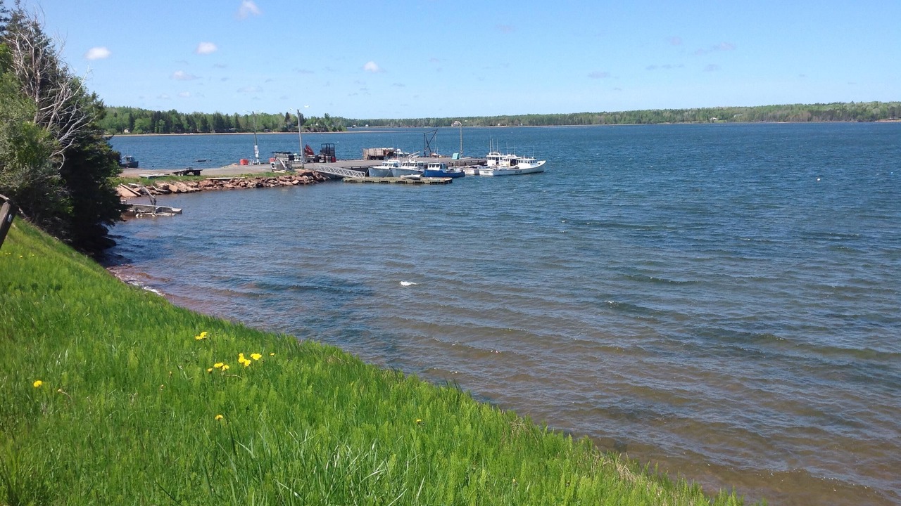 Photo of Others in Lower Montague