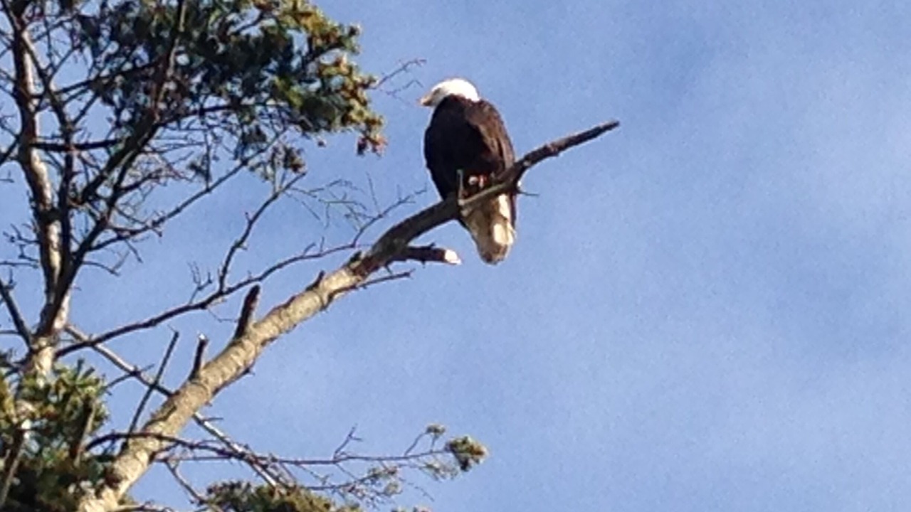 Photo of Others in Sequim