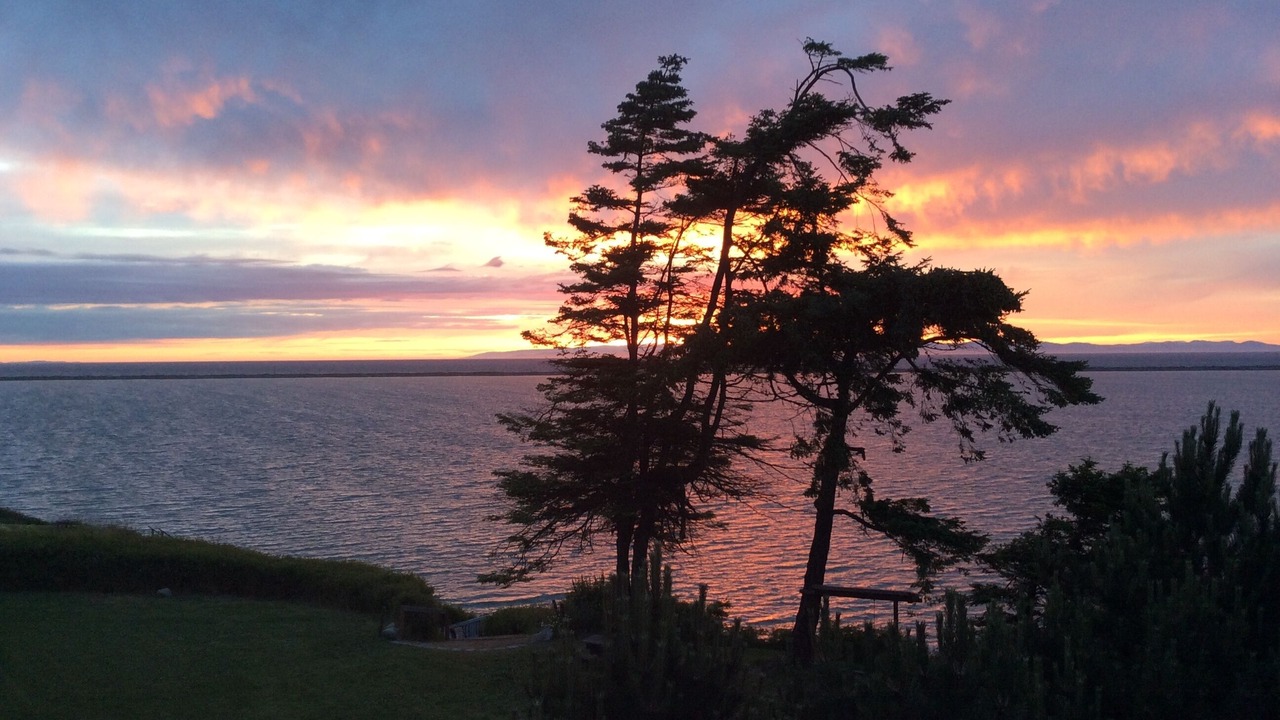 Photo of Others in Sequim