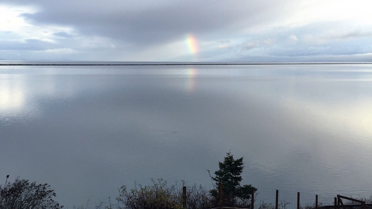 Photo of Others in Sequim