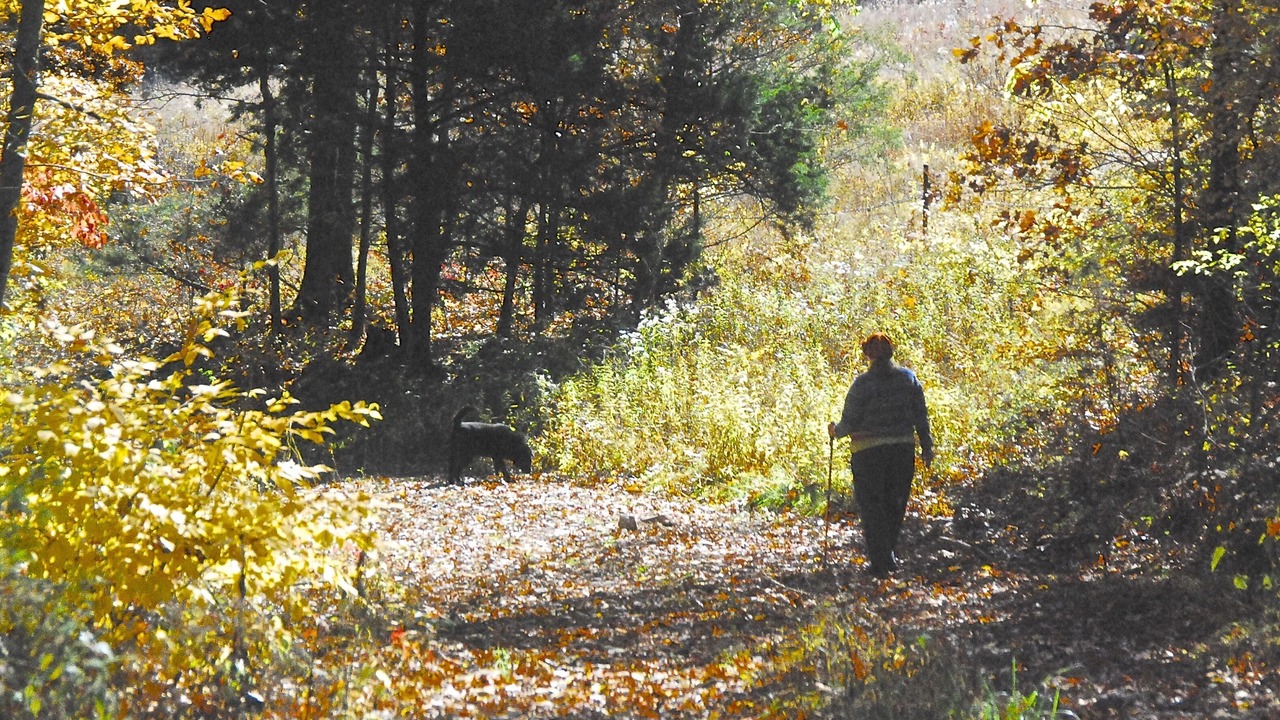Photo of Others in Dixon