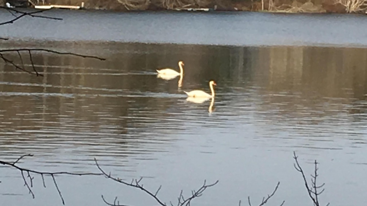 Photo of Others in Wianno