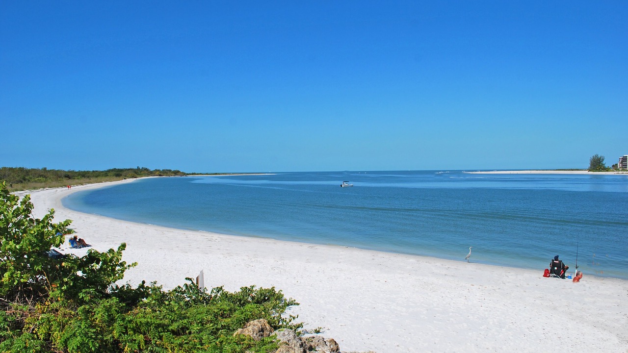 Photo of Others in Estero