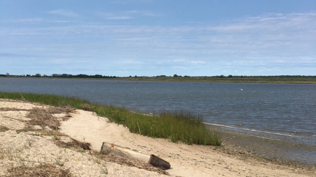 Photo of Others in Clinton