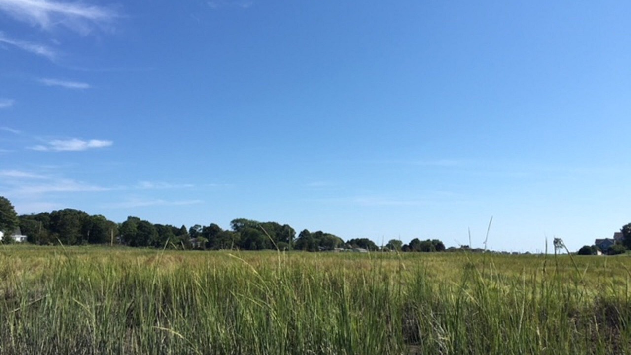 Photo of Others in Clinton