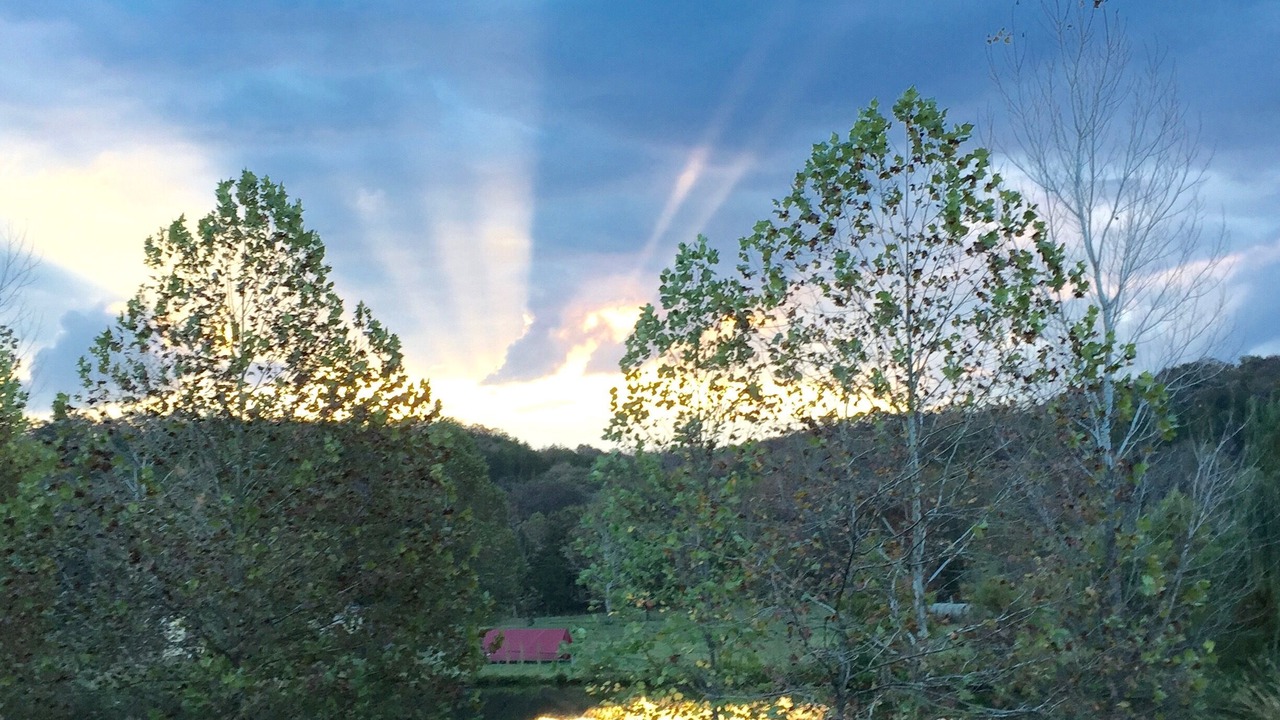 Photo of Outdoor in Forsyth