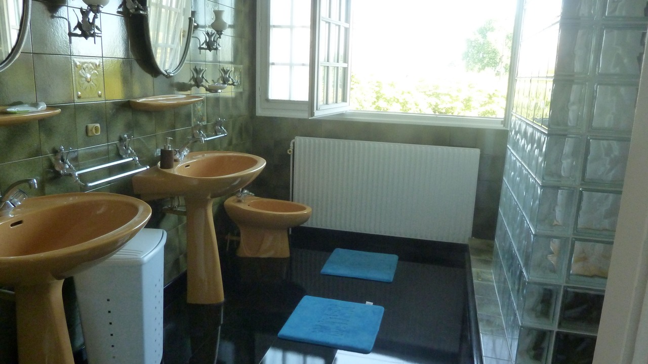 Photo of Bathroom in Le Kremlin-Bicetre