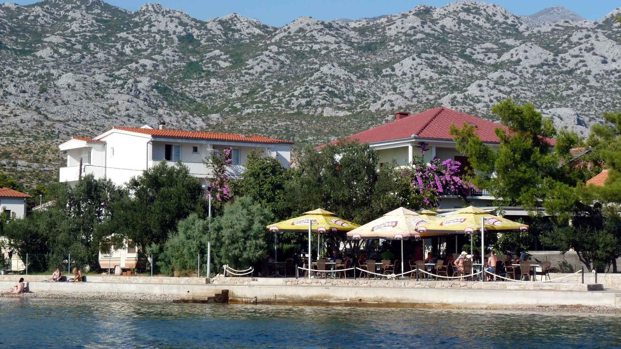 Photo of Others in Seline