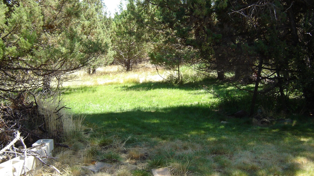 Photo of Outdoor in Mountain View