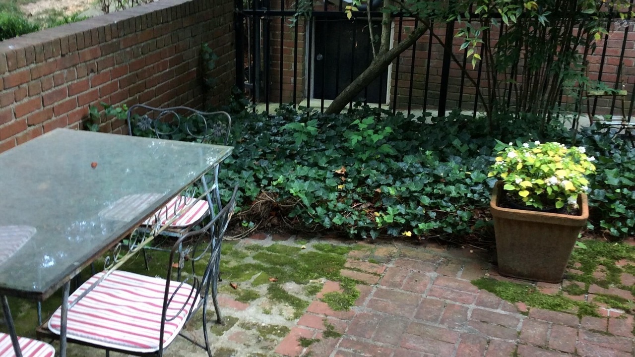 Photo of Outdoor in Garden Hills