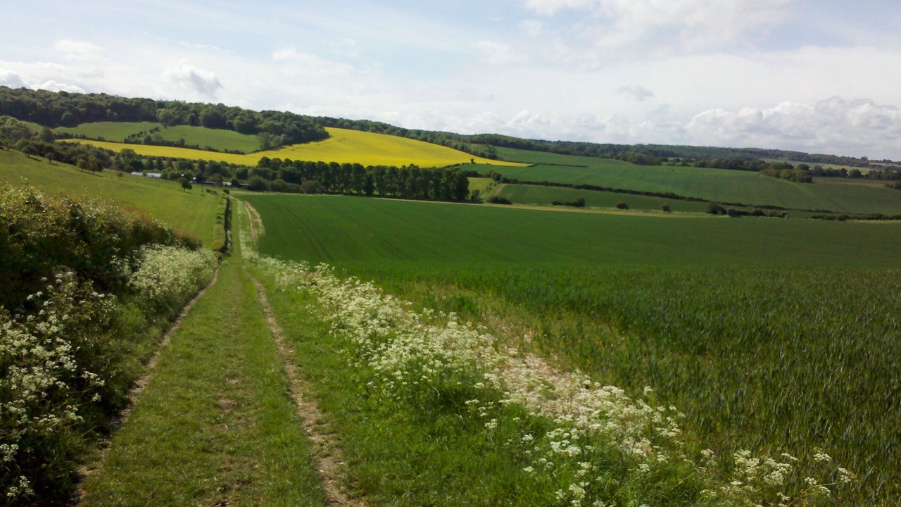 Photo of Others in Wallingford