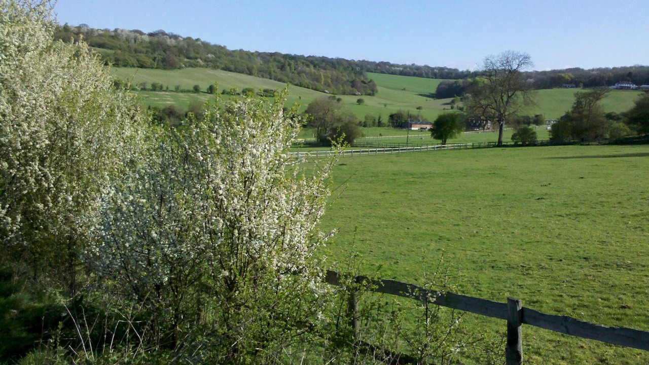 Photo of Others in Wallingford