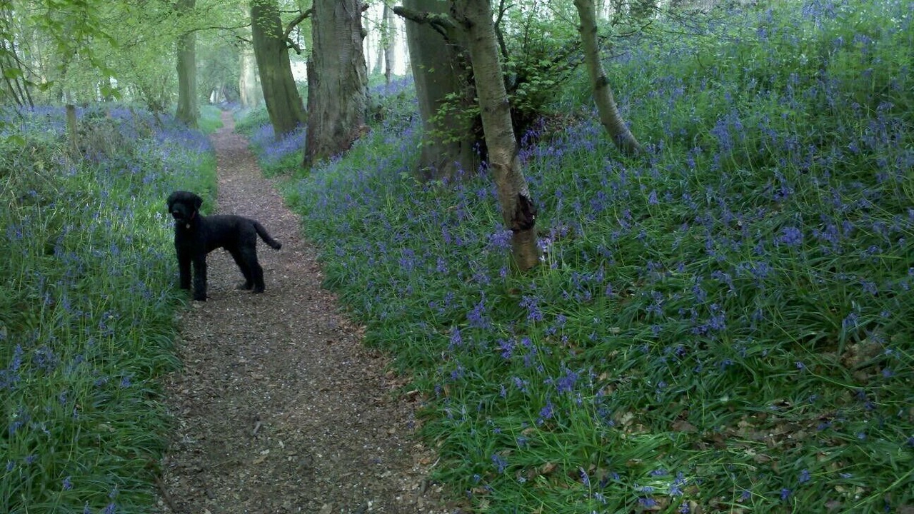 Photo of Others in Wallingford