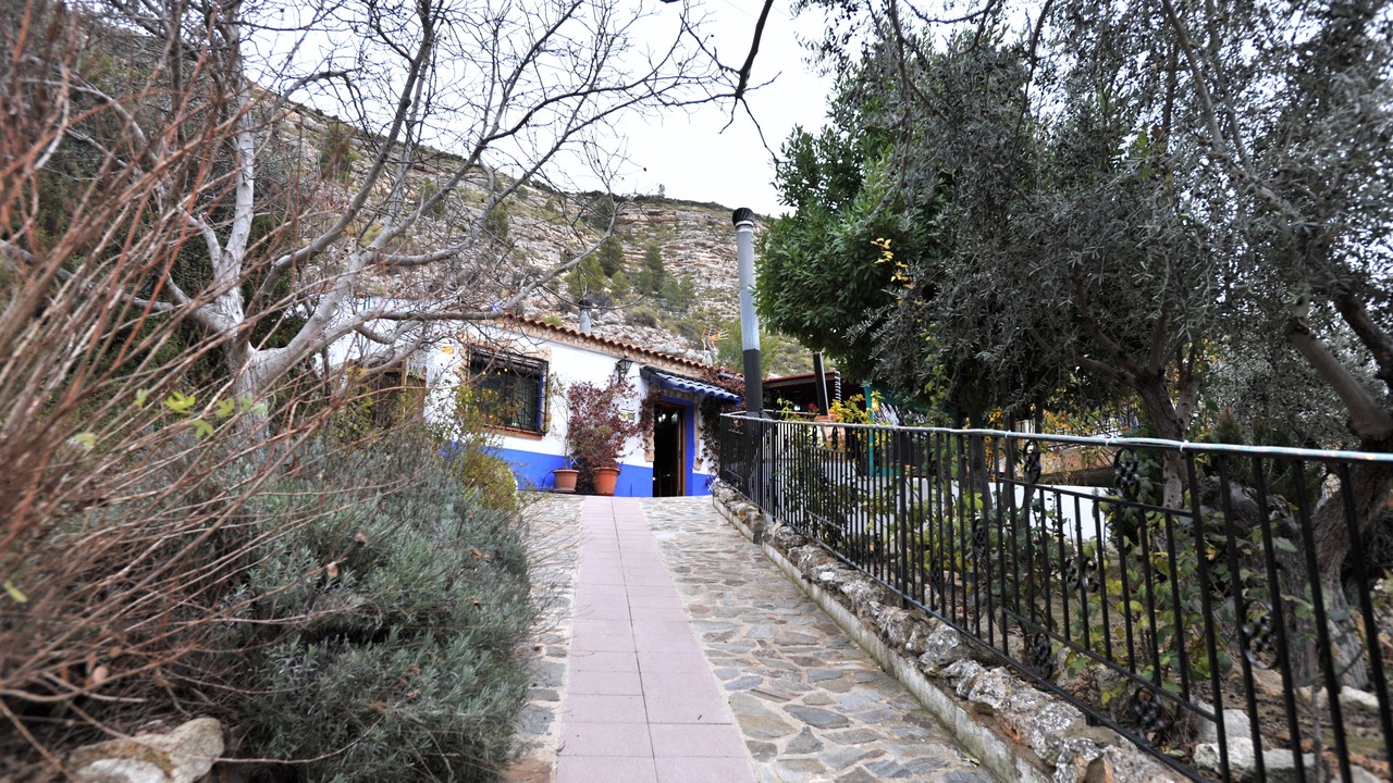 Photo of Outdoor in Tolosa