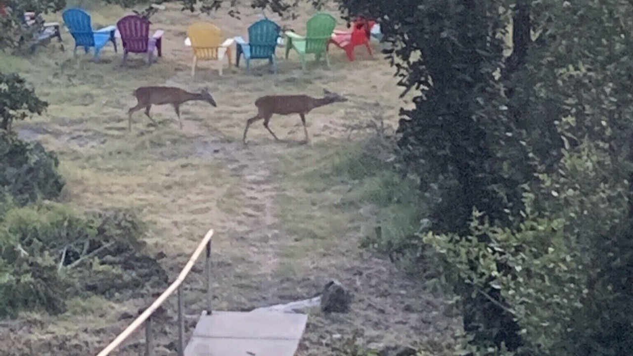Photo of Others in Canyon Lake