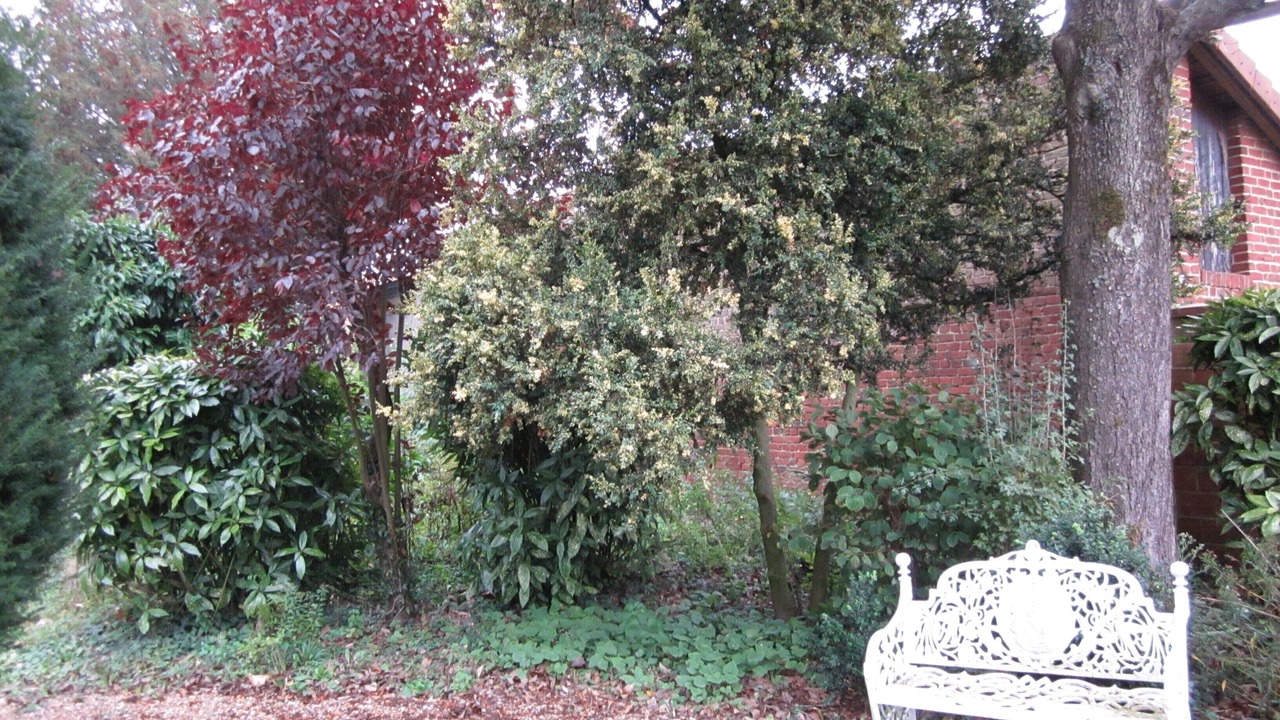 Photo of Outdoor in Saint-Just-en-Chaussee