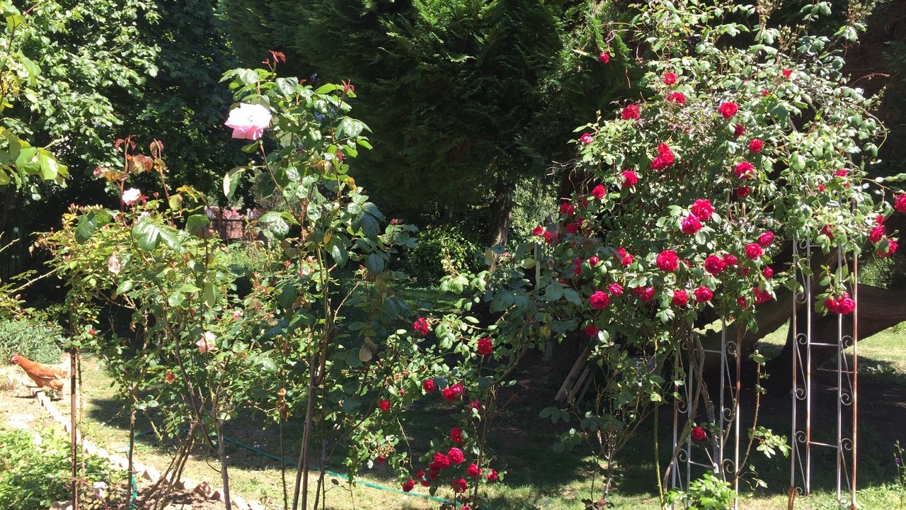 Photo of Outdoor in Saint-Just-en-Chaussee