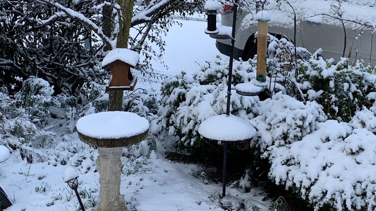 Photo of Outdoor in Concordia