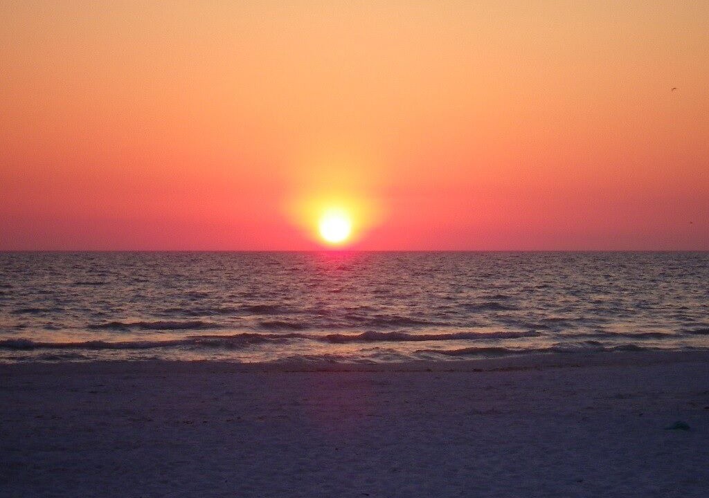 Photo of Others in Siesta Key