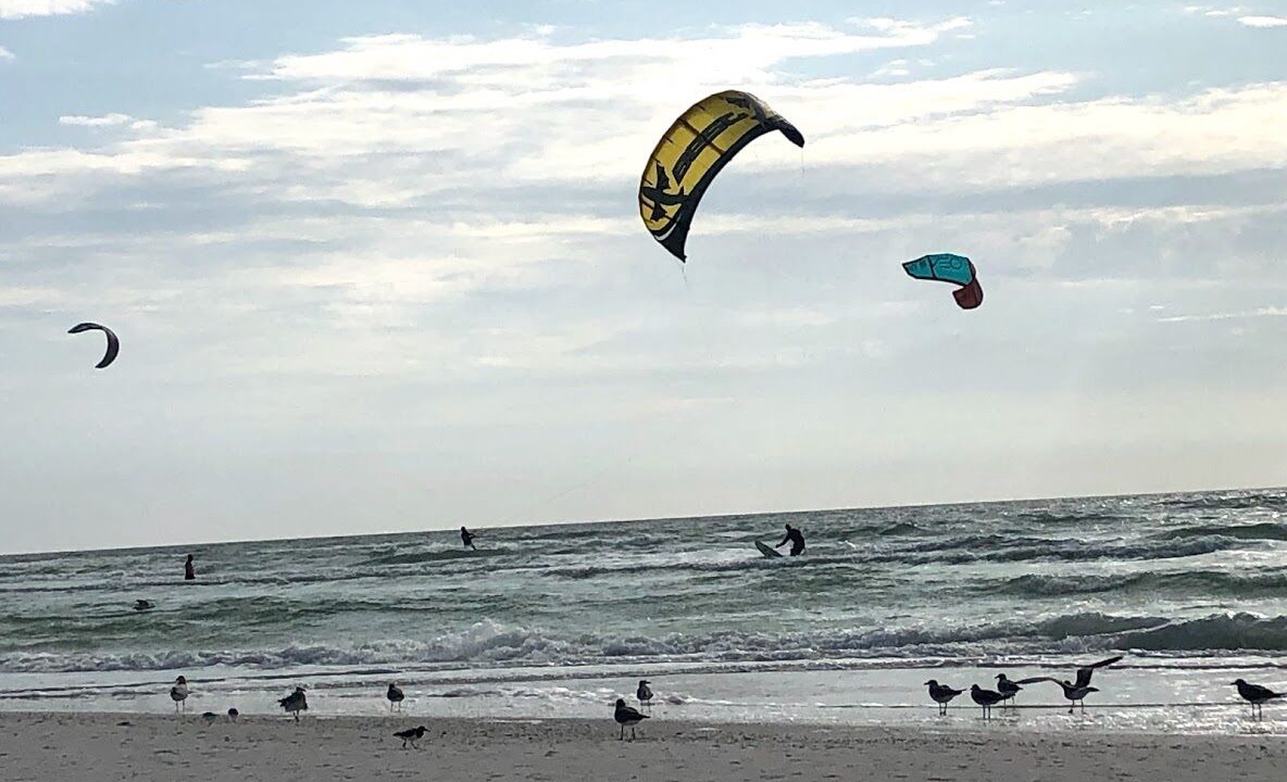 Photo of Others in Siesta Key