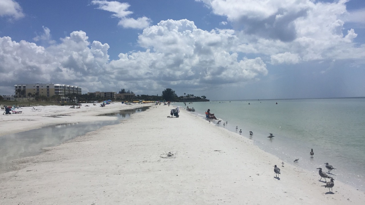 Photo of Others in Siesta Key