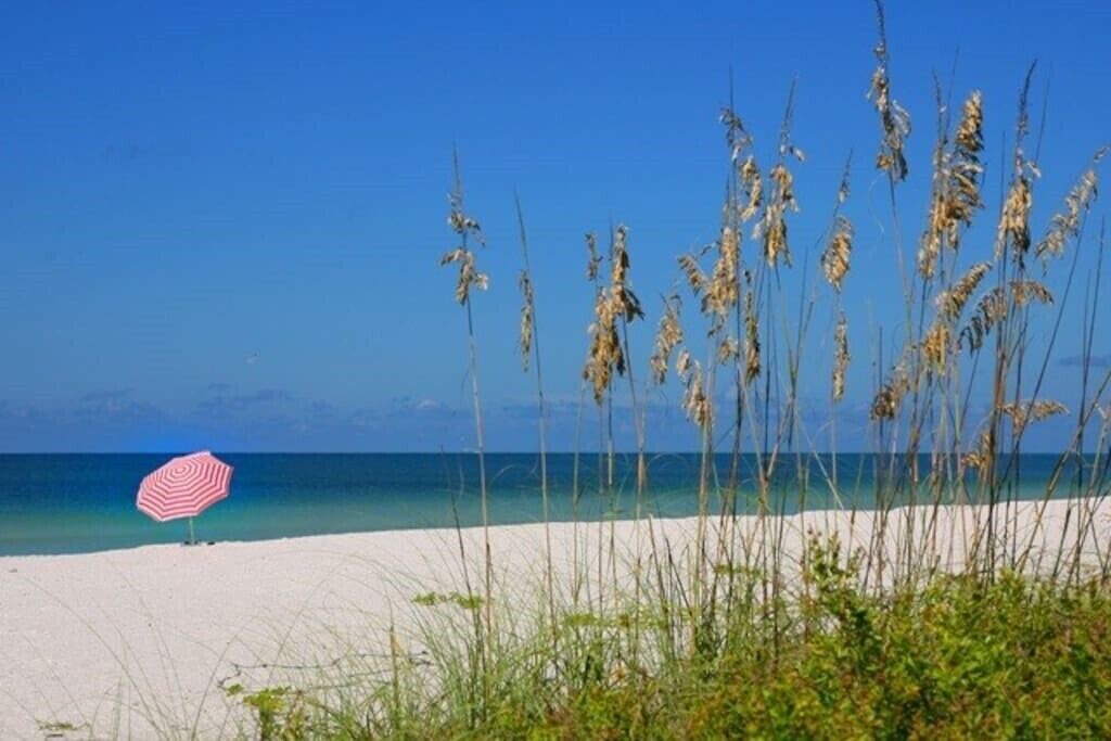 Photo of Others in Siesta Key