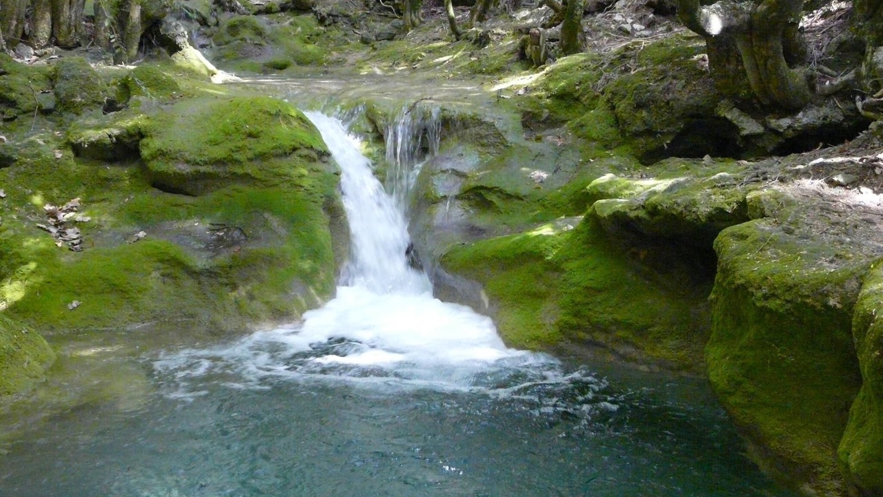 Photo of Outdoor in Theus