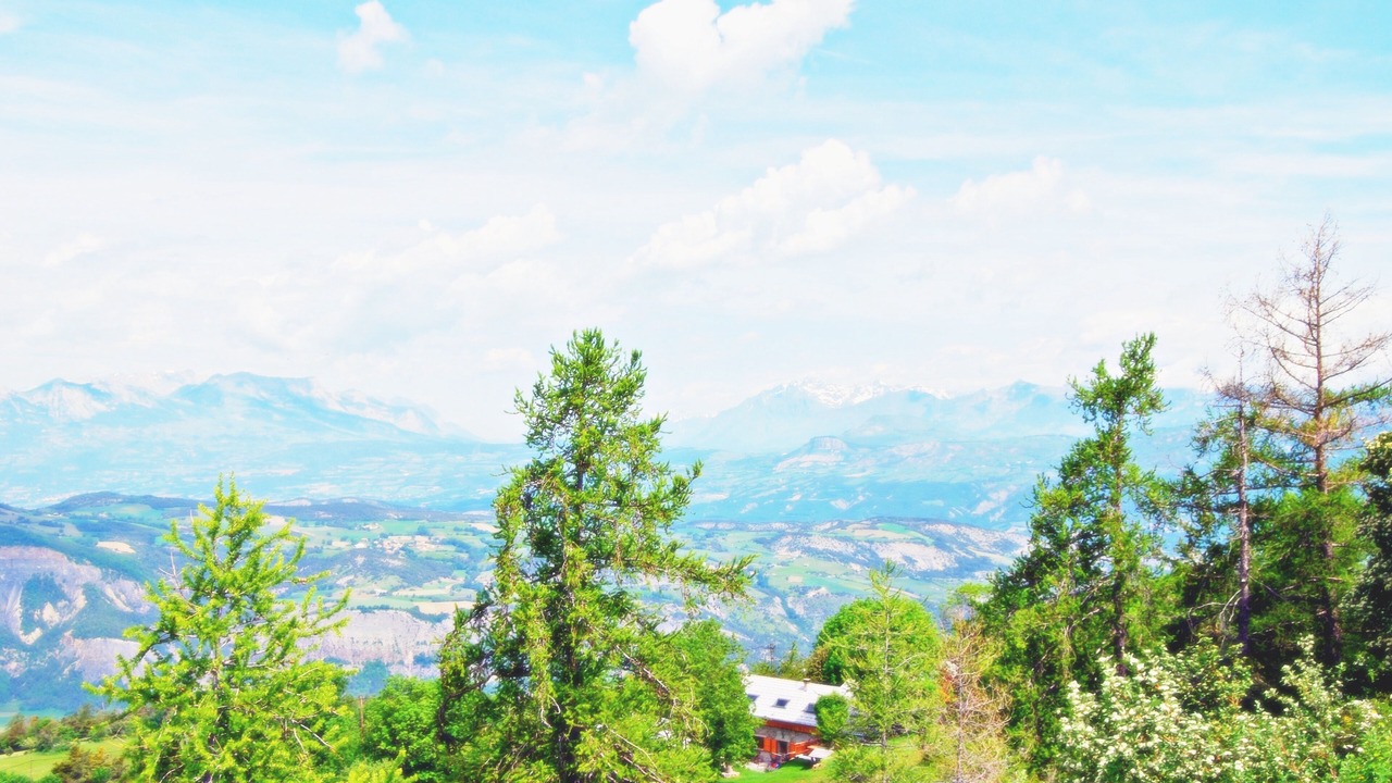 Photo of Outdoor in Theus