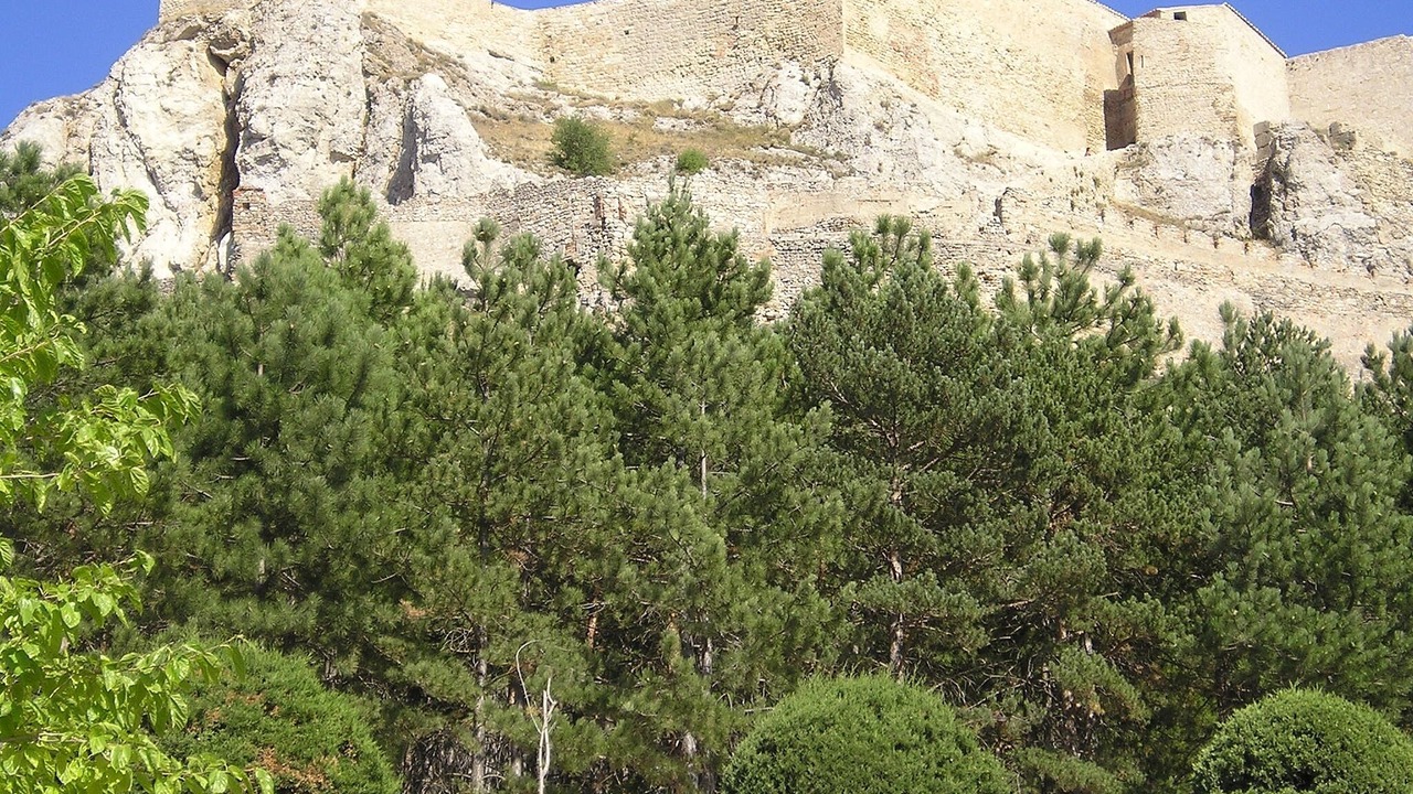 Photo of Others in San Jorge