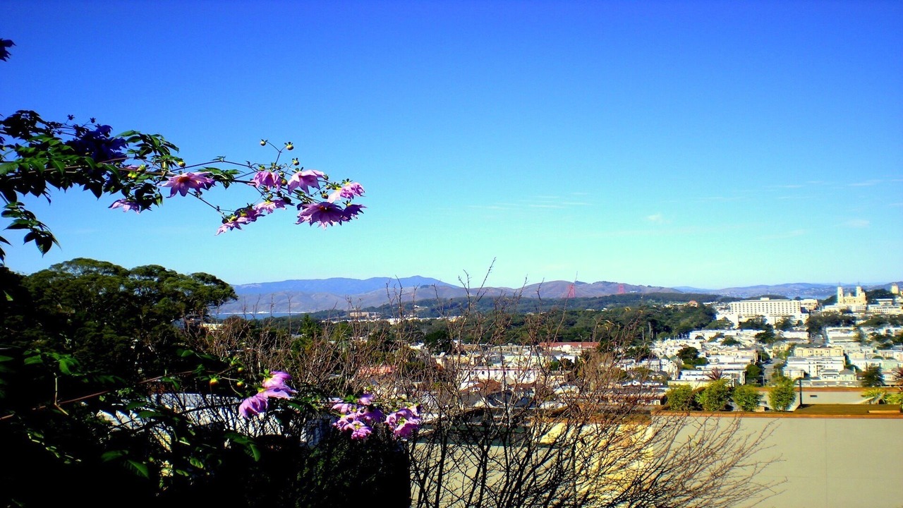 Photo of Others in Ashbury Heights