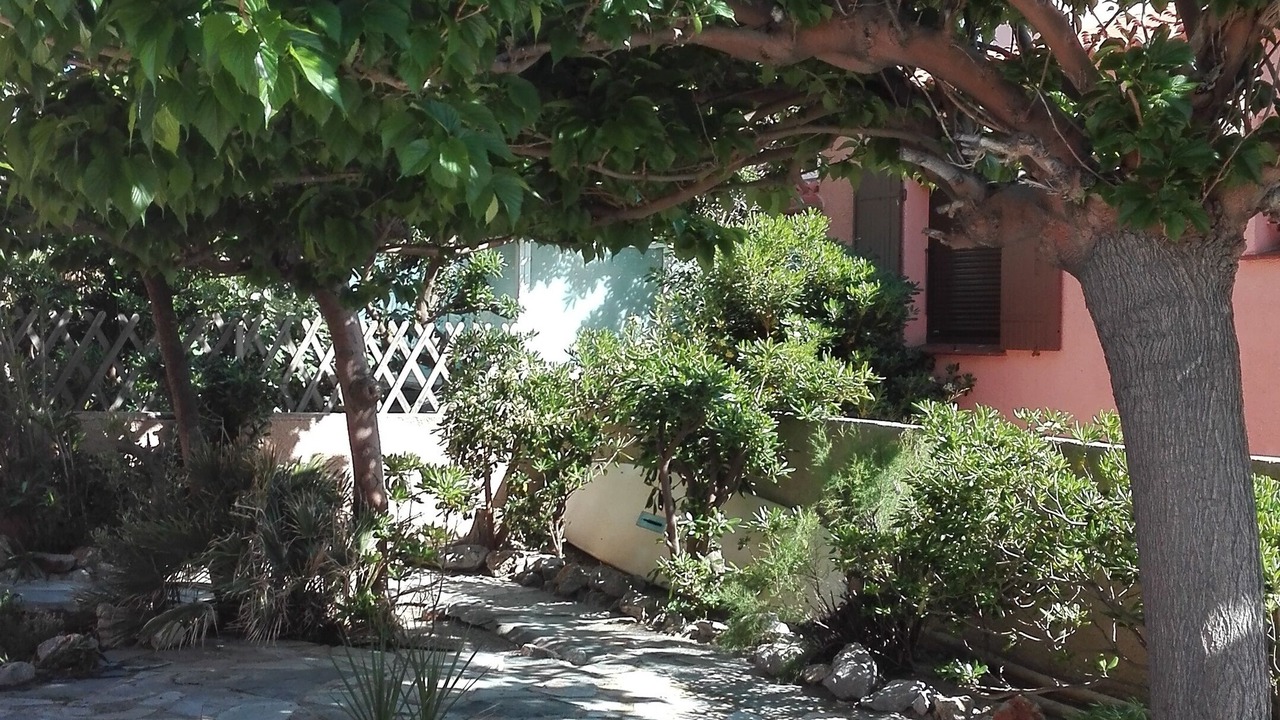 Photo of Outdoor in Leucate