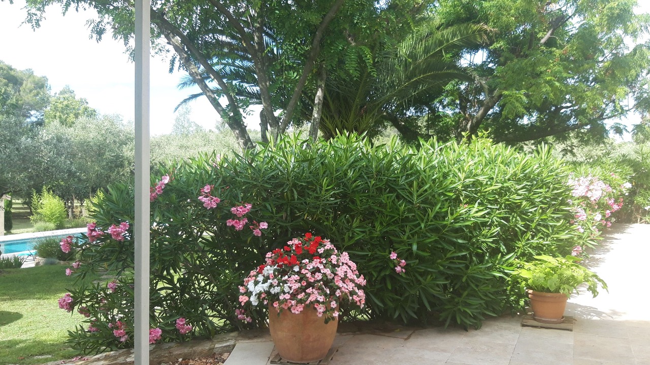 Photo of Outdoor in Labaume