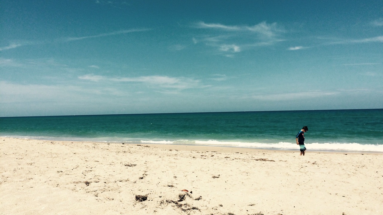 Photo of Others in Juno Beach