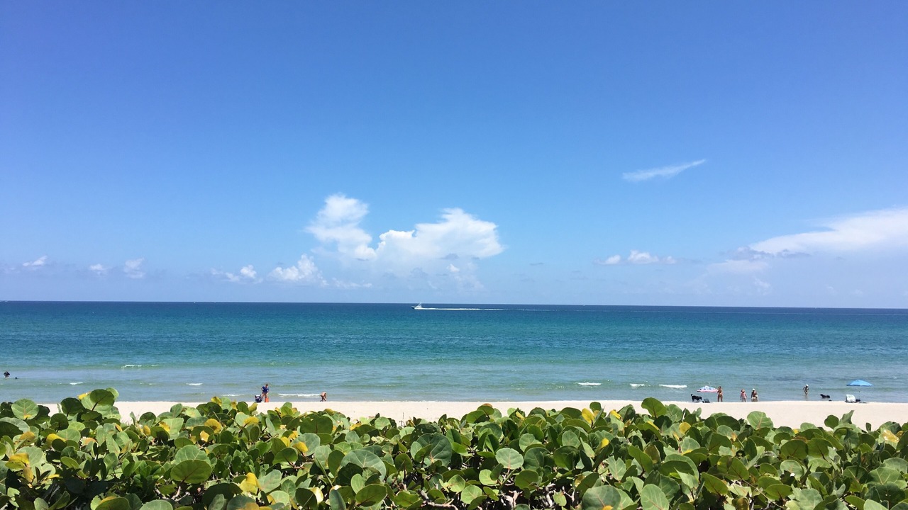 Photo of Others in Juno Beach