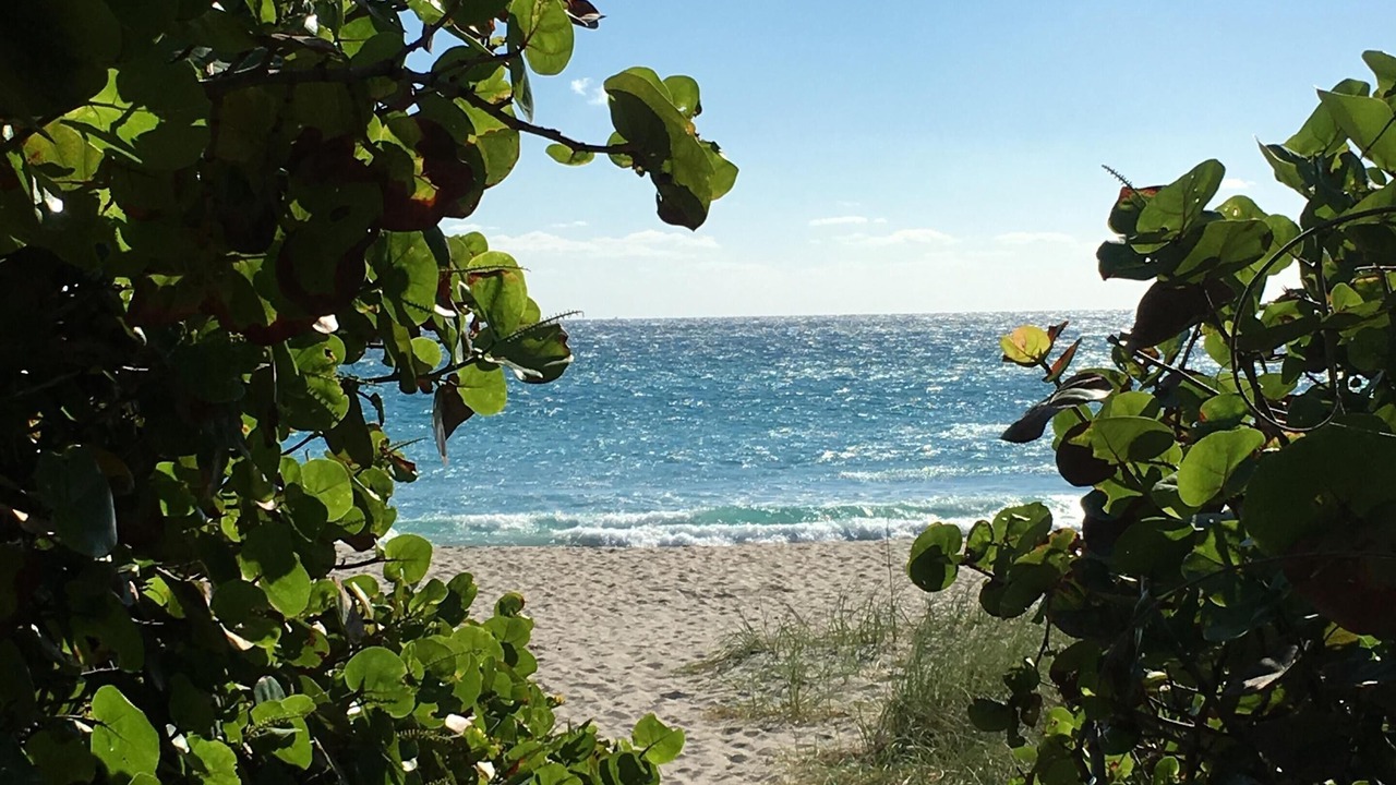 Photo of Others in Juno Beach