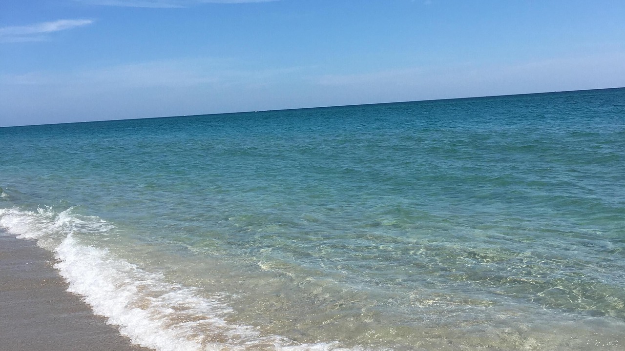 Photo of Others in Juno Beach