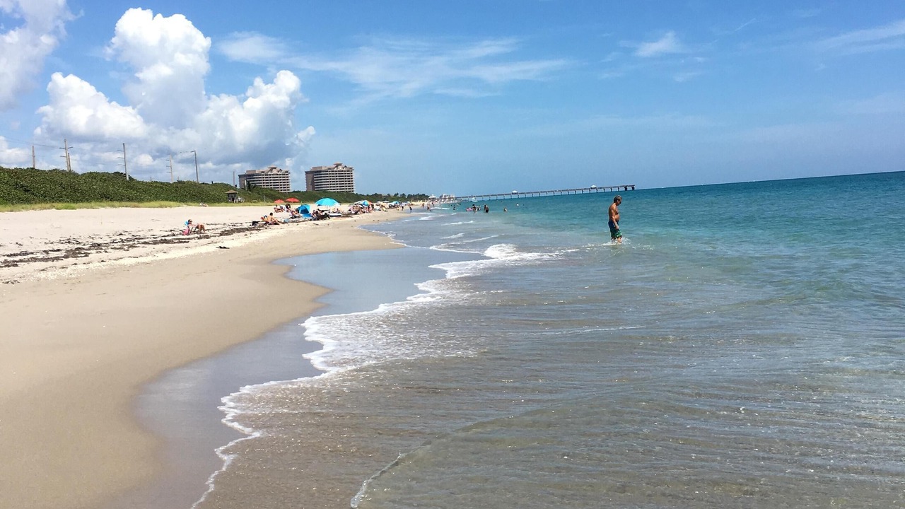 Photo of Others in Juno Beach