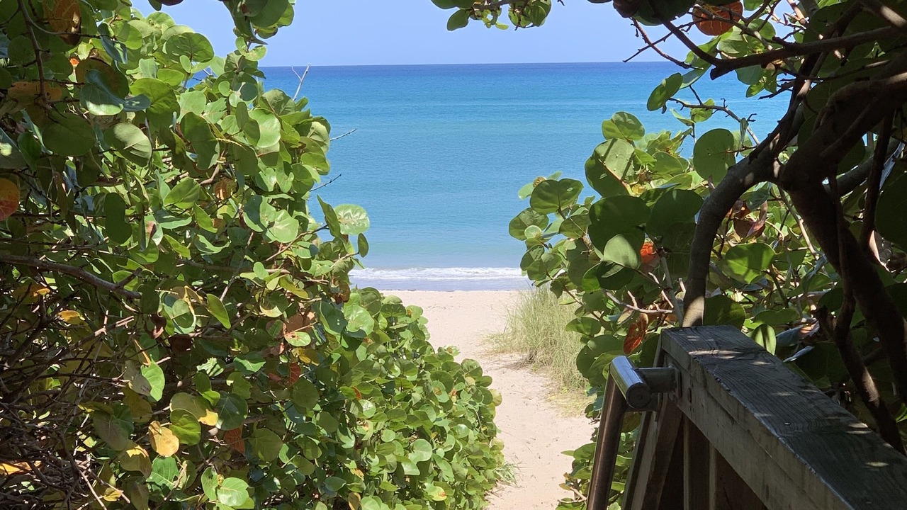 Photo of Others in Juno Beach