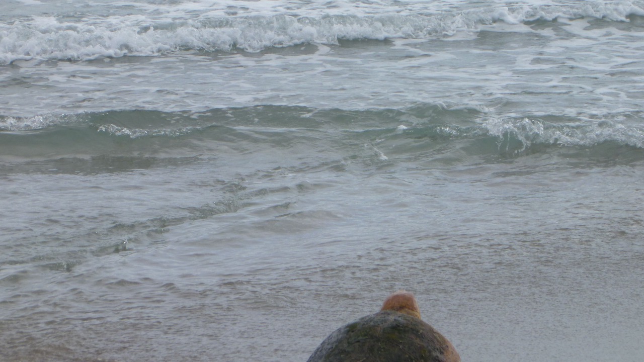 Photo of Others in Juno Beach