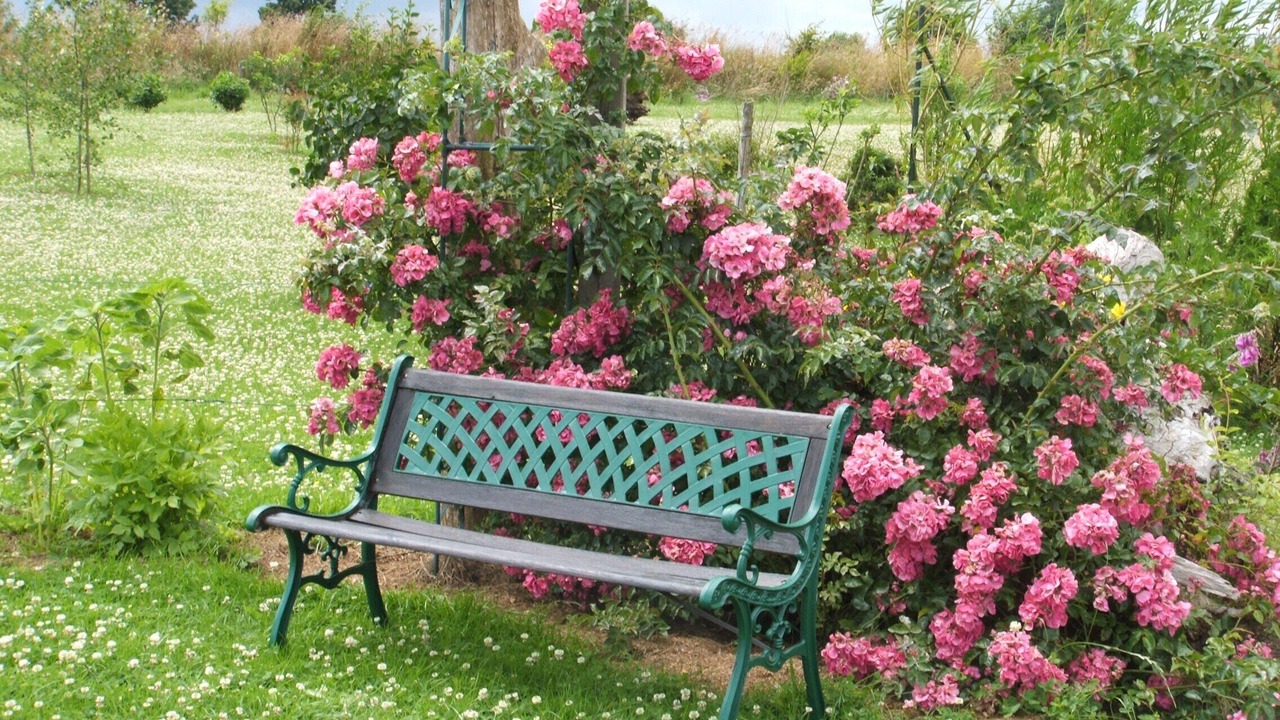 Photo of Outdoor in Saint-Germain-en-Cogles