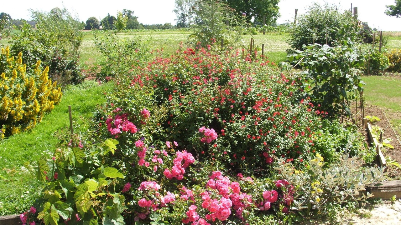 Photo of Outdoor in Saint-Germain-en-Cogles