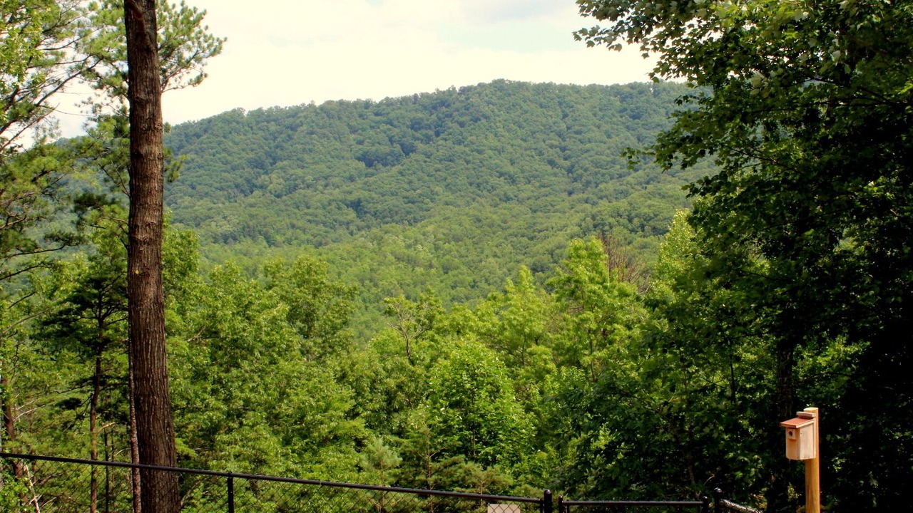 Photo of Outdoor in Pigeon Forge