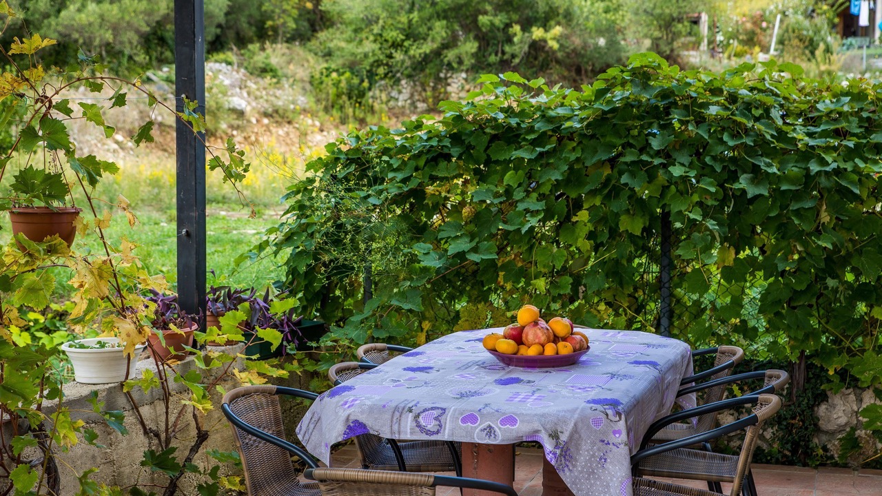 Photo of Outdoor in Mokosica