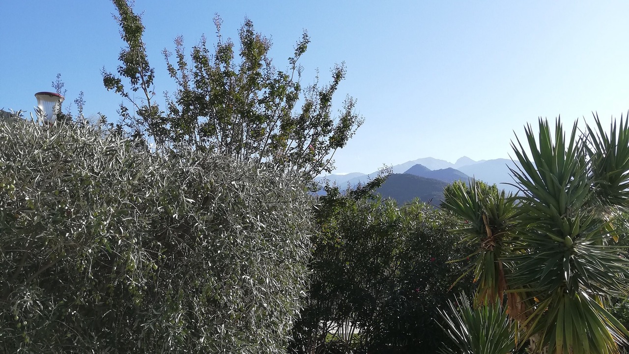 Photo of Outdoor in Finestret