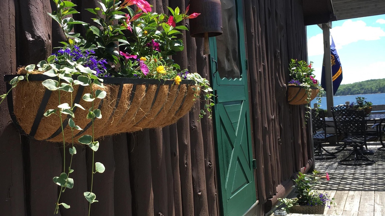 Photo of Outdoor in Lamoine