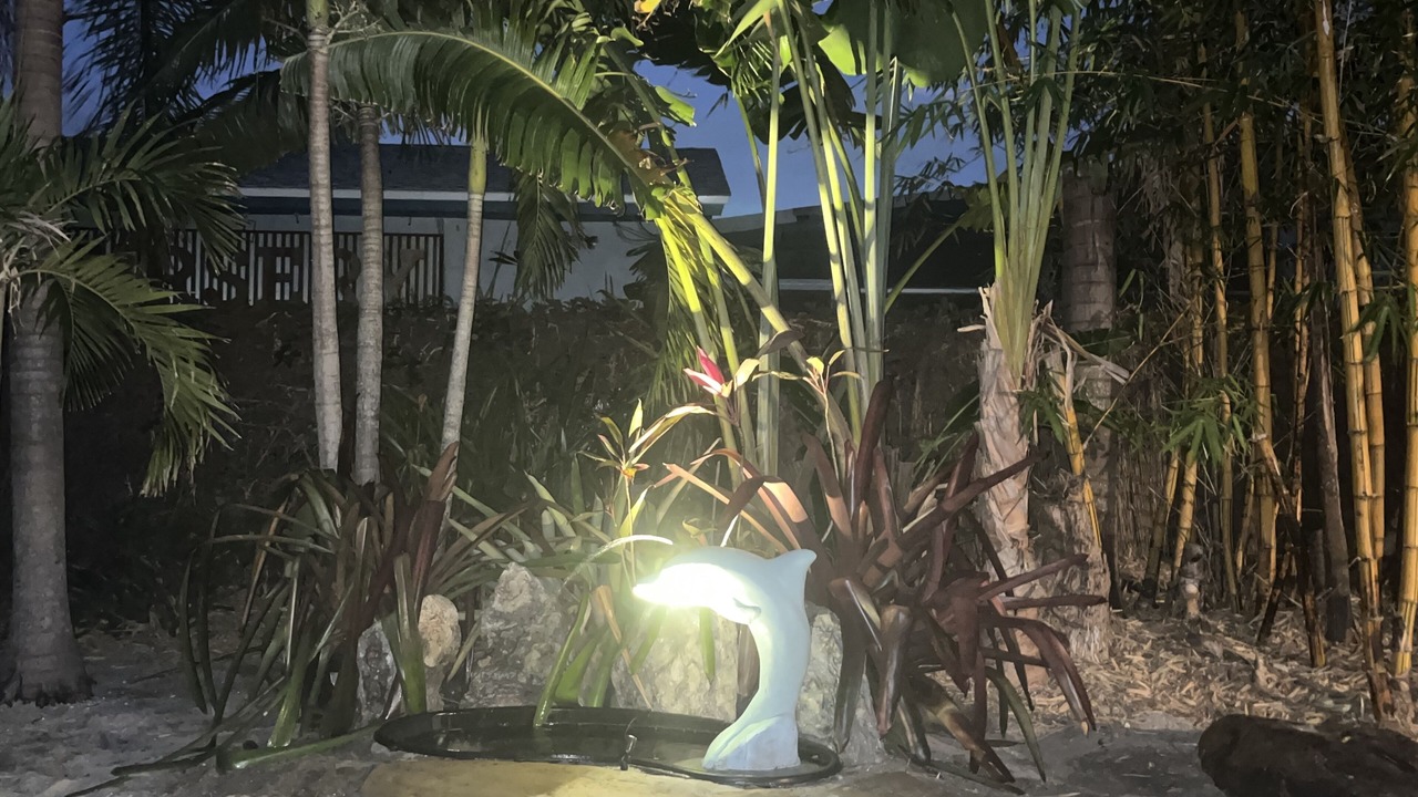 Photo of Outdoor in Naples Park
